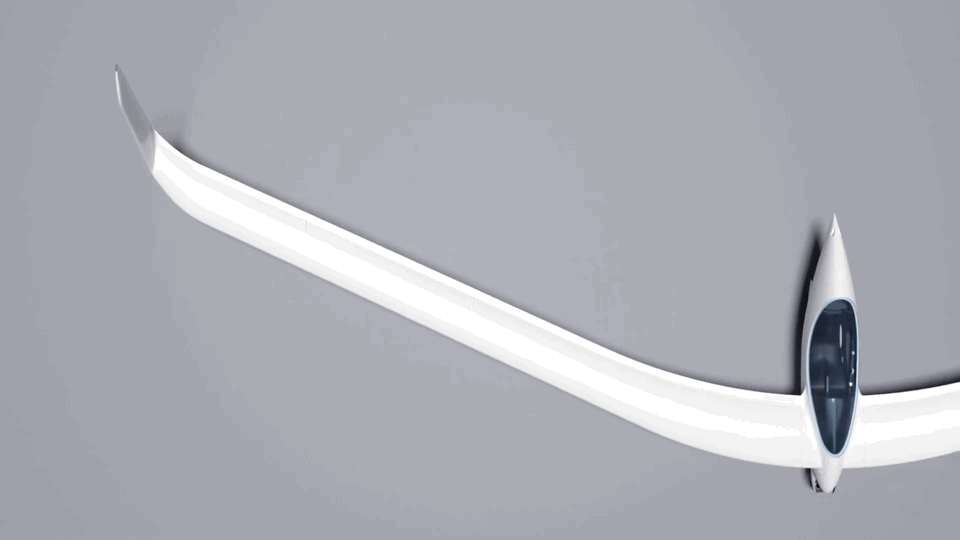 Unique Shaped Sailplane AK-X